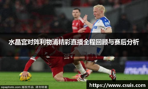 zoty中欧体育水晶宫对阵利物浦精彩直播全程回顾与赛后分析